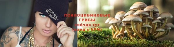 каннабис Абинск