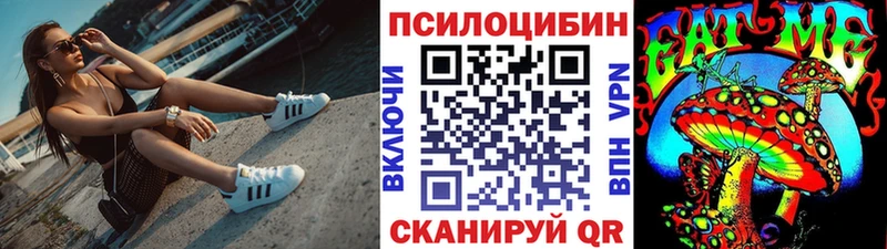 Псилоцибиновые грибы Psilocybine cubensis  Кедровый 